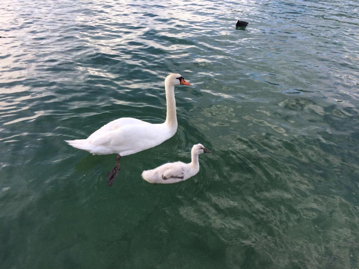 Lac Annecy Plage Privee, Duplex Baie Des Voiles Duingt Exteriör bild